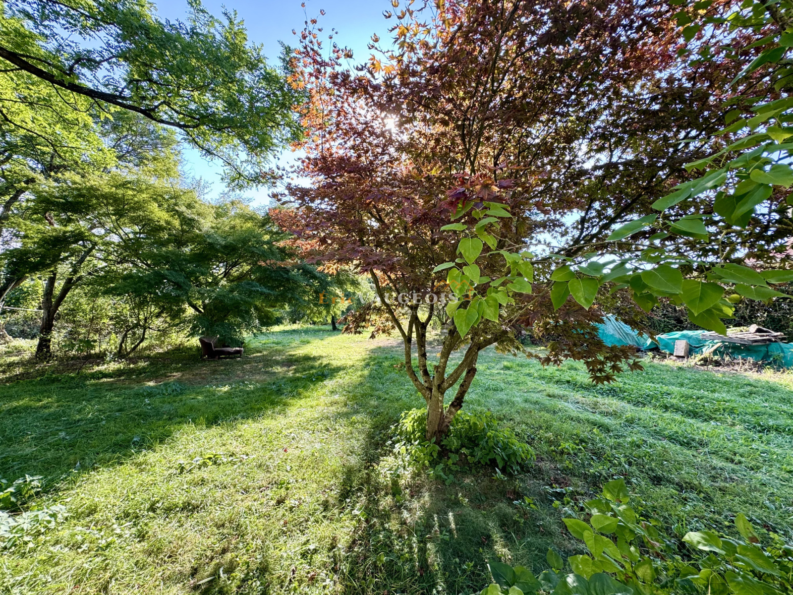 Image_38, Maison, Coulommiers, ref :1516