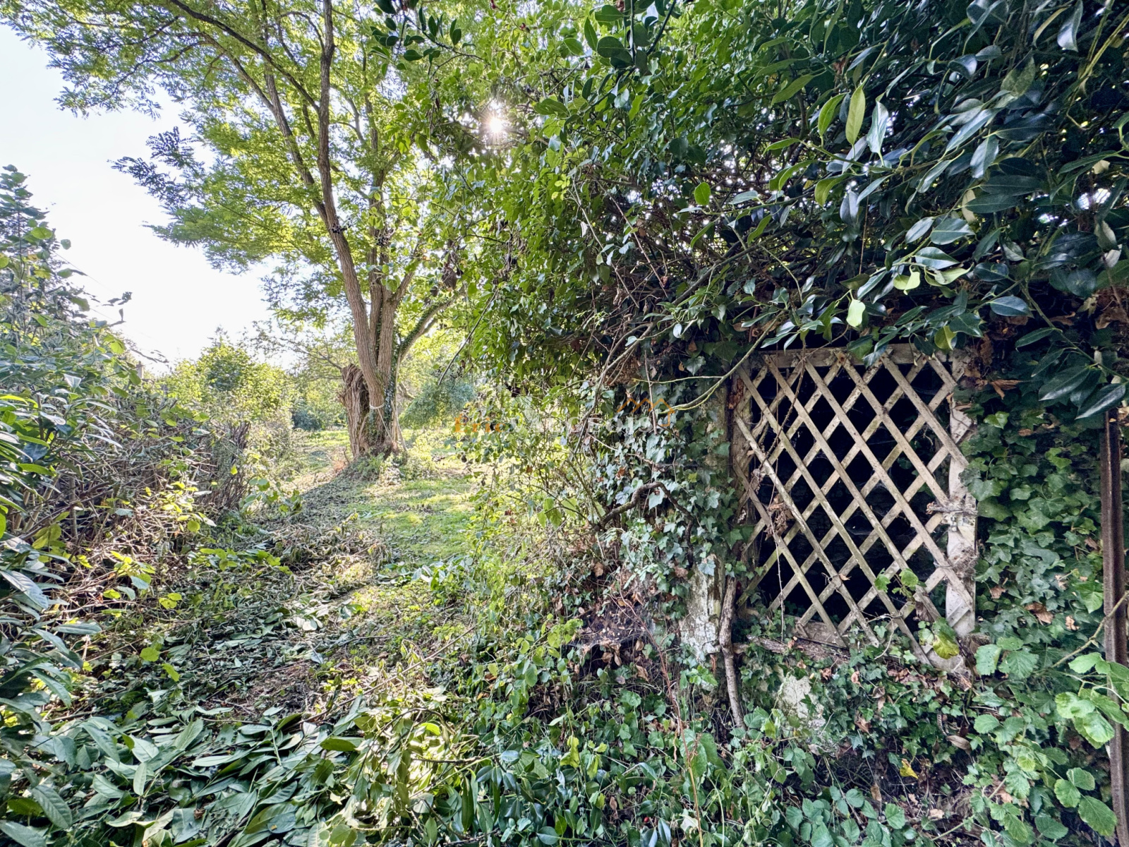 Image_39, Maison, Coulommiers, ref :1516