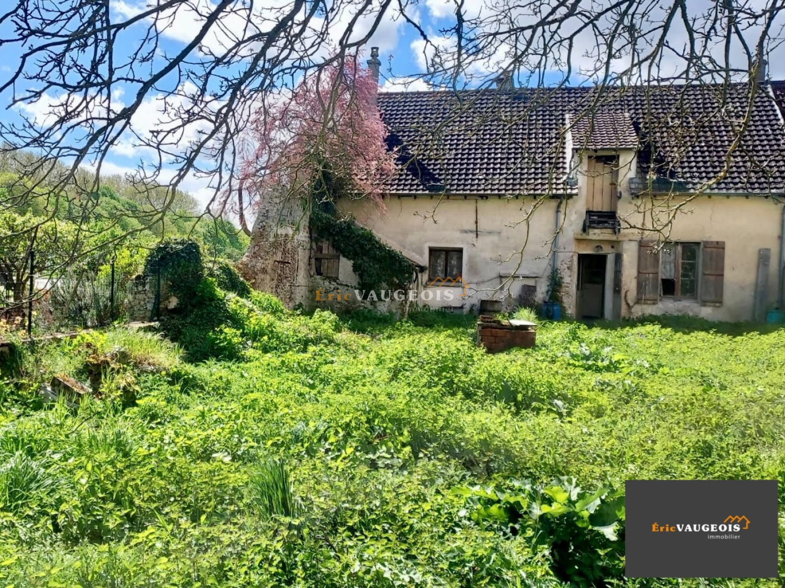 Image_24, Maison, Jossigny, ref :1247