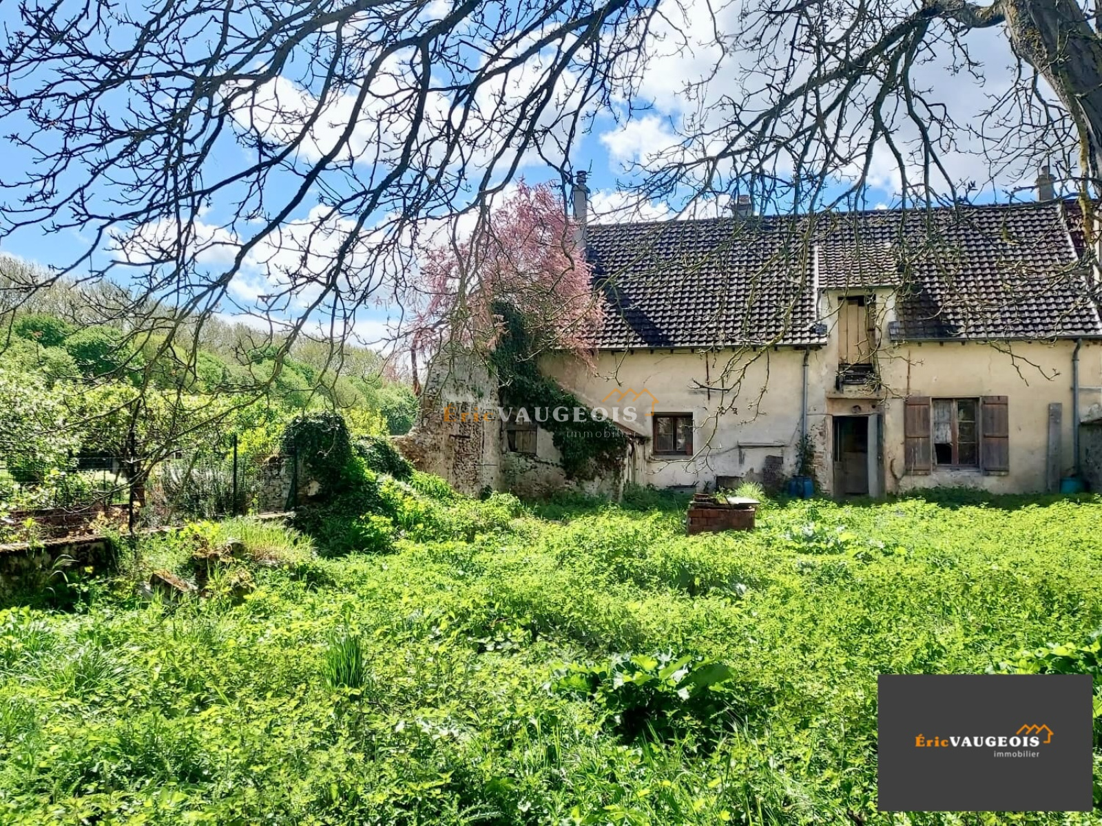 Image_29, Maison, Jossigny, ref :1247