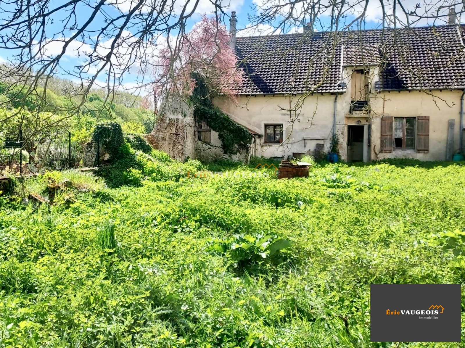 Image_31, Maison, Jossigny, ref :1247