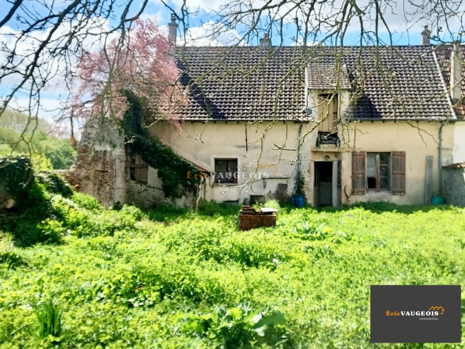 Image_28, Maison, Jossigny, ref :1247