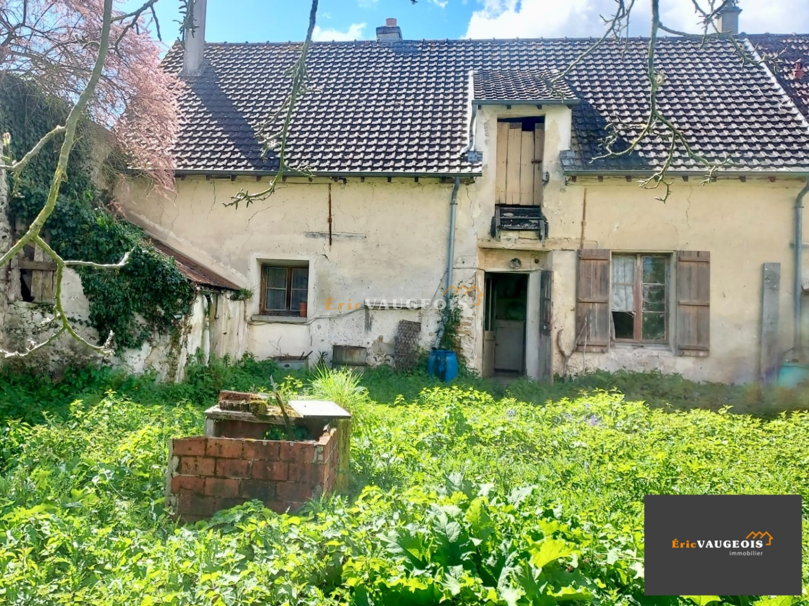 Image_25, Maison, Jossigny, ref :1247