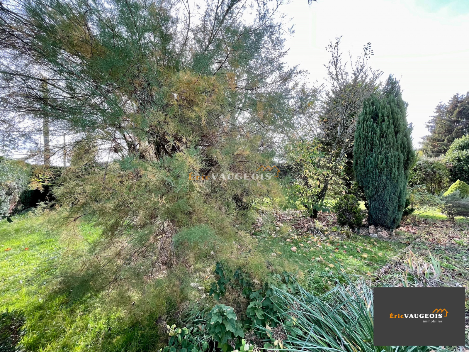 Image_41, Maison, Crécy-la-Chapelle, ref :1172