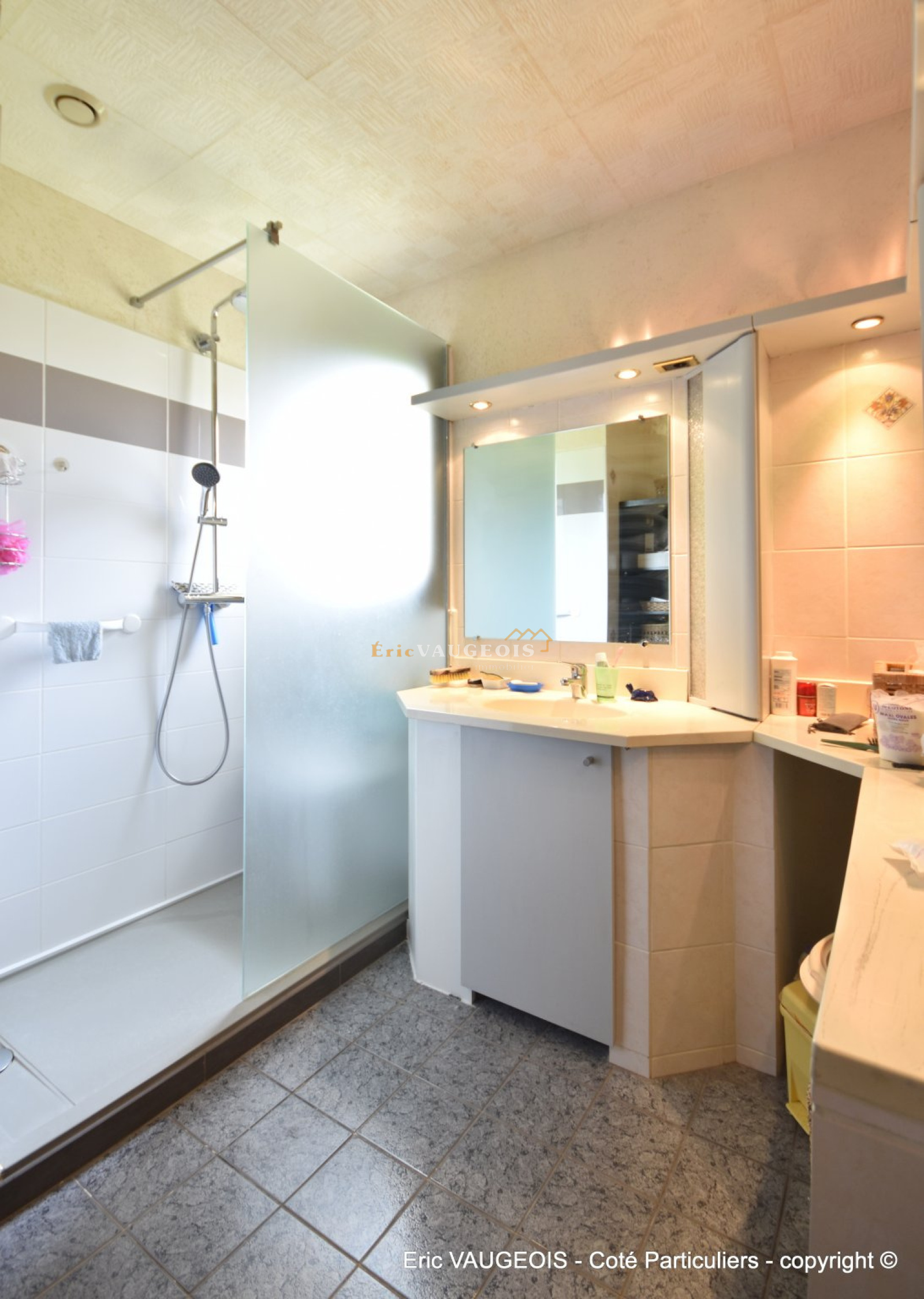 Image_5, Maison, Chevru, ref :716