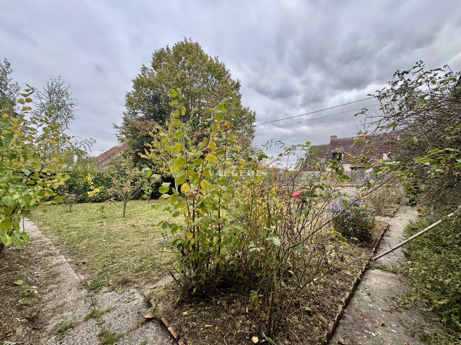 Image_62, Maison, Coulommiers, ref :1545