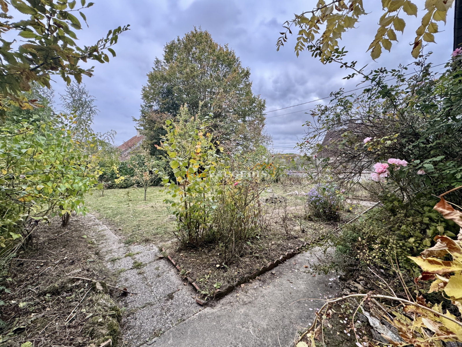 Image_54, Maison, Coulommiers, ref :1545