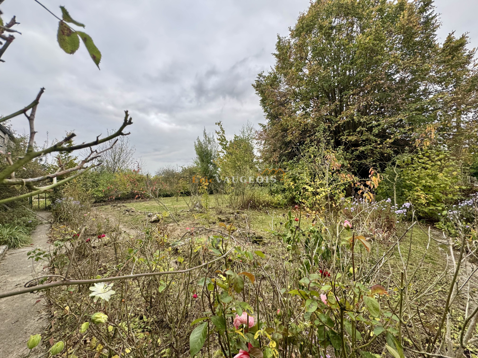 Image_59, Maison, Coulommiers, ref :1545