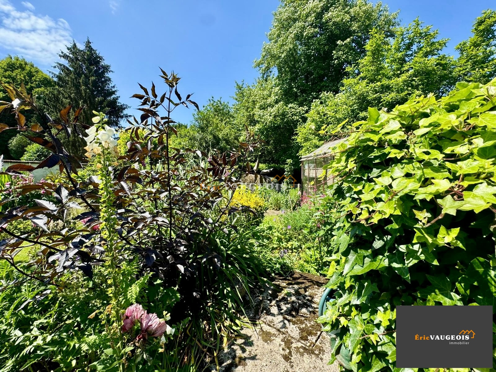 Image_45, Maison, Coulommiers, ref :1288