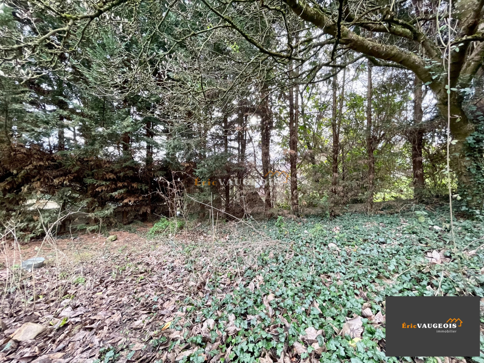 Image_22, Maison, La Ferté-sous-Jouarre, ref :1231