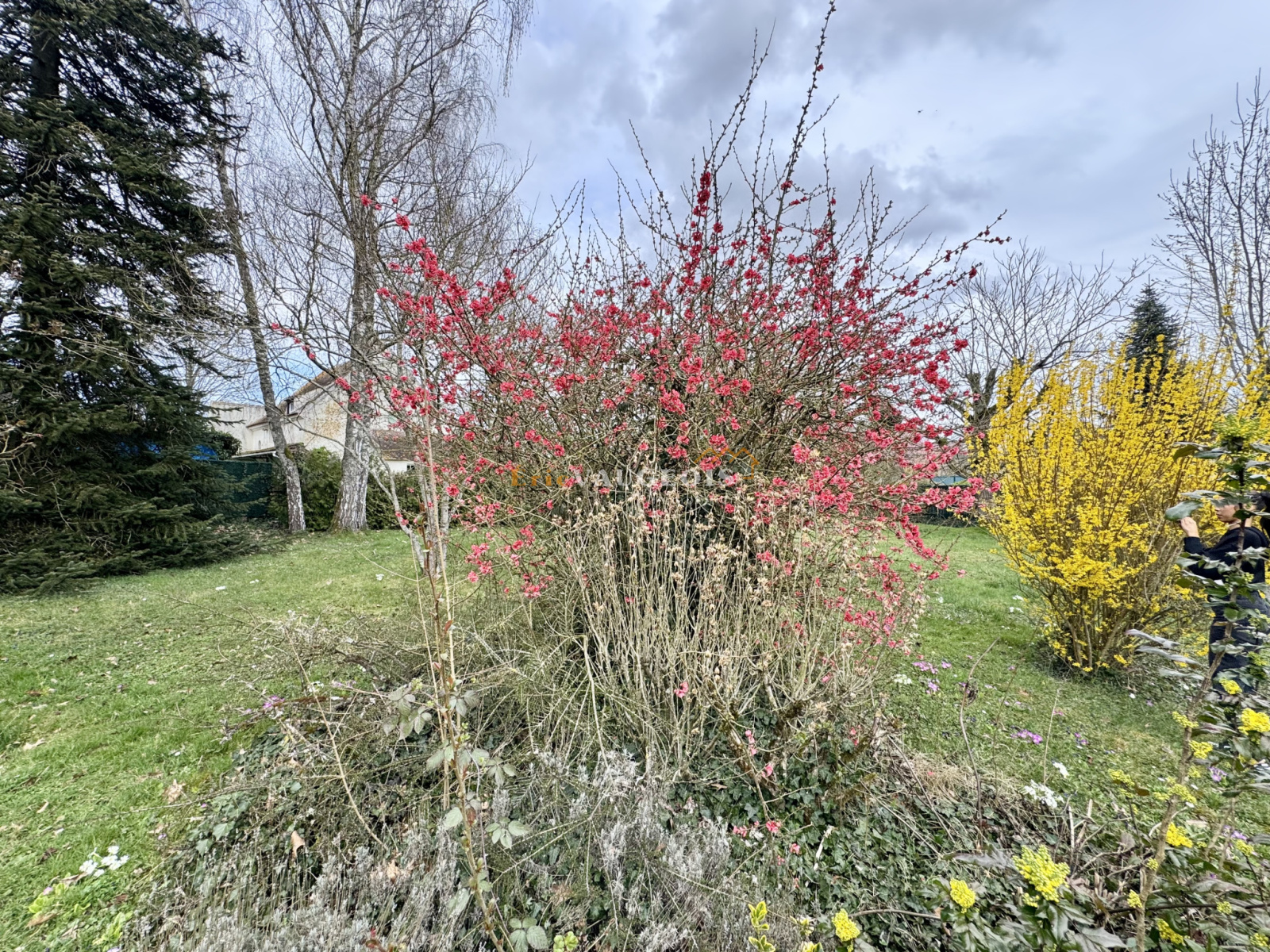 Image_29, Maison, Coulommiers, ref :1421