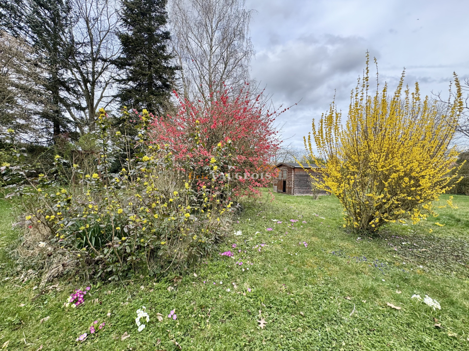 Image_26, Maison, Coulommiers, ref :1421