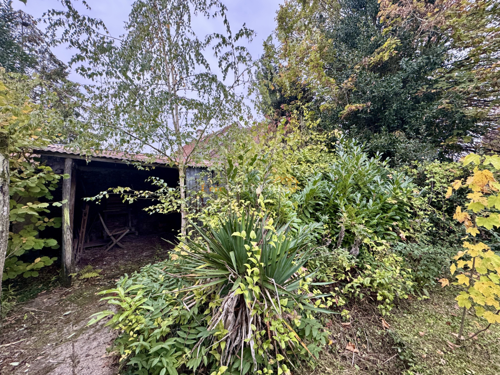 Image_58, Maison, Coulommiers, ref :1585