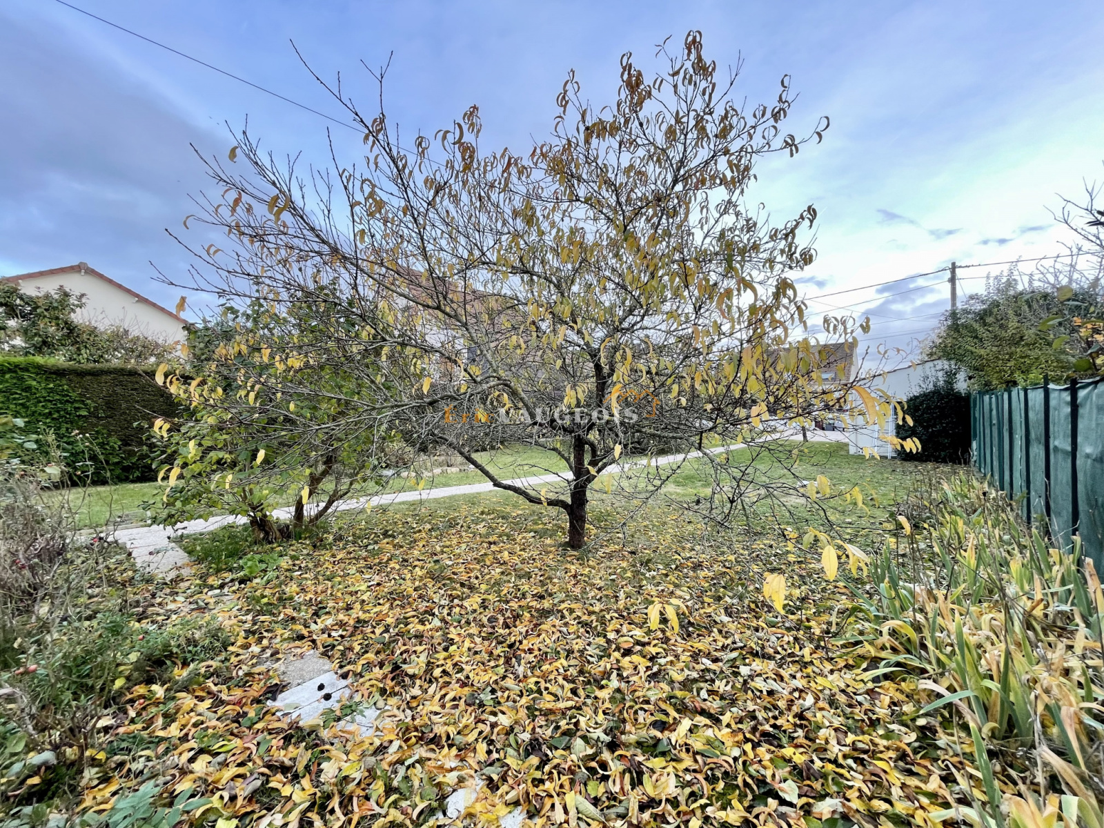 Image_23, Maison, Thorigny-sur-Marne, ref :1179