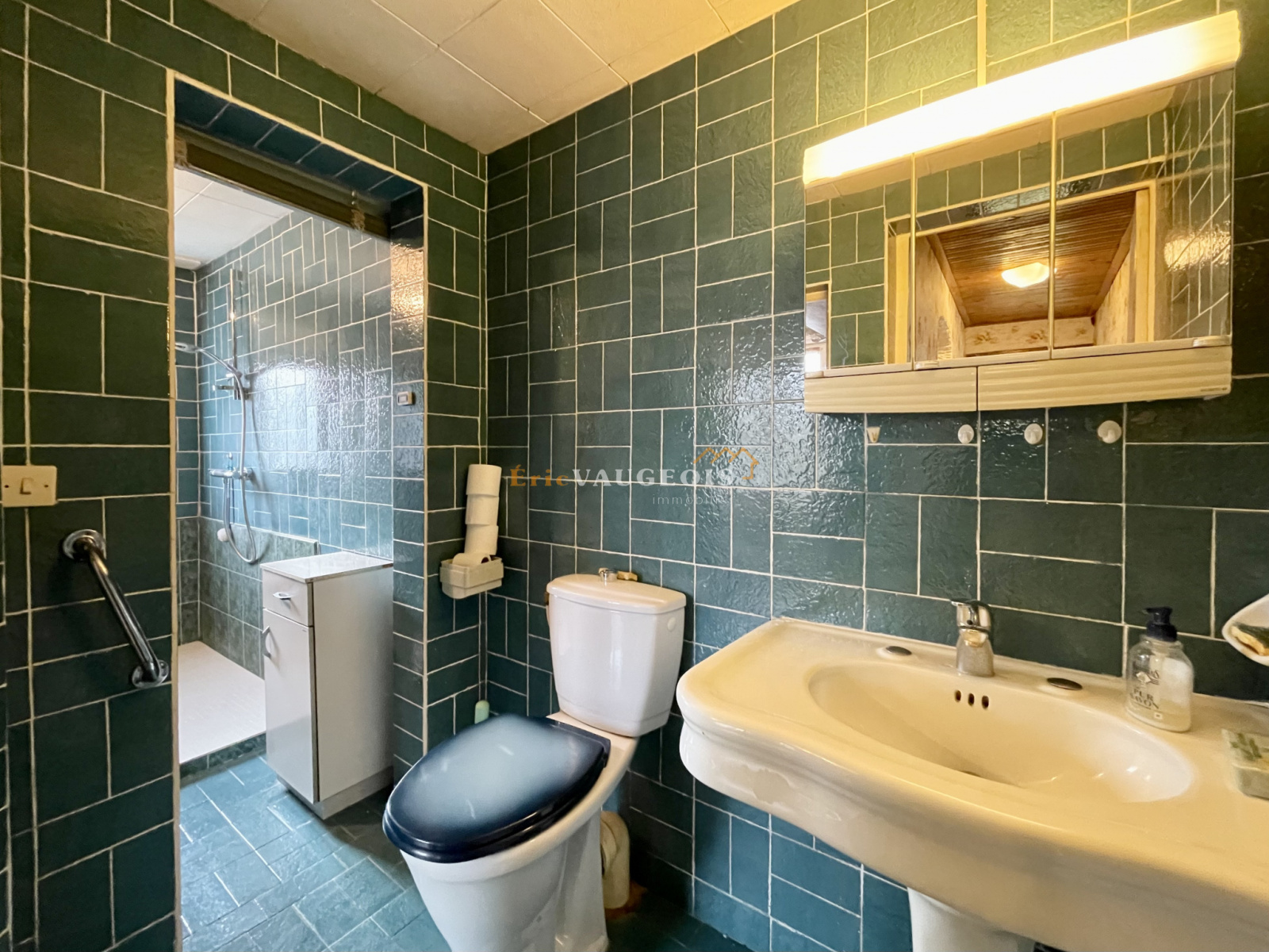 Image_44, Maison, Thorigny-sur-Marne, ref :1179