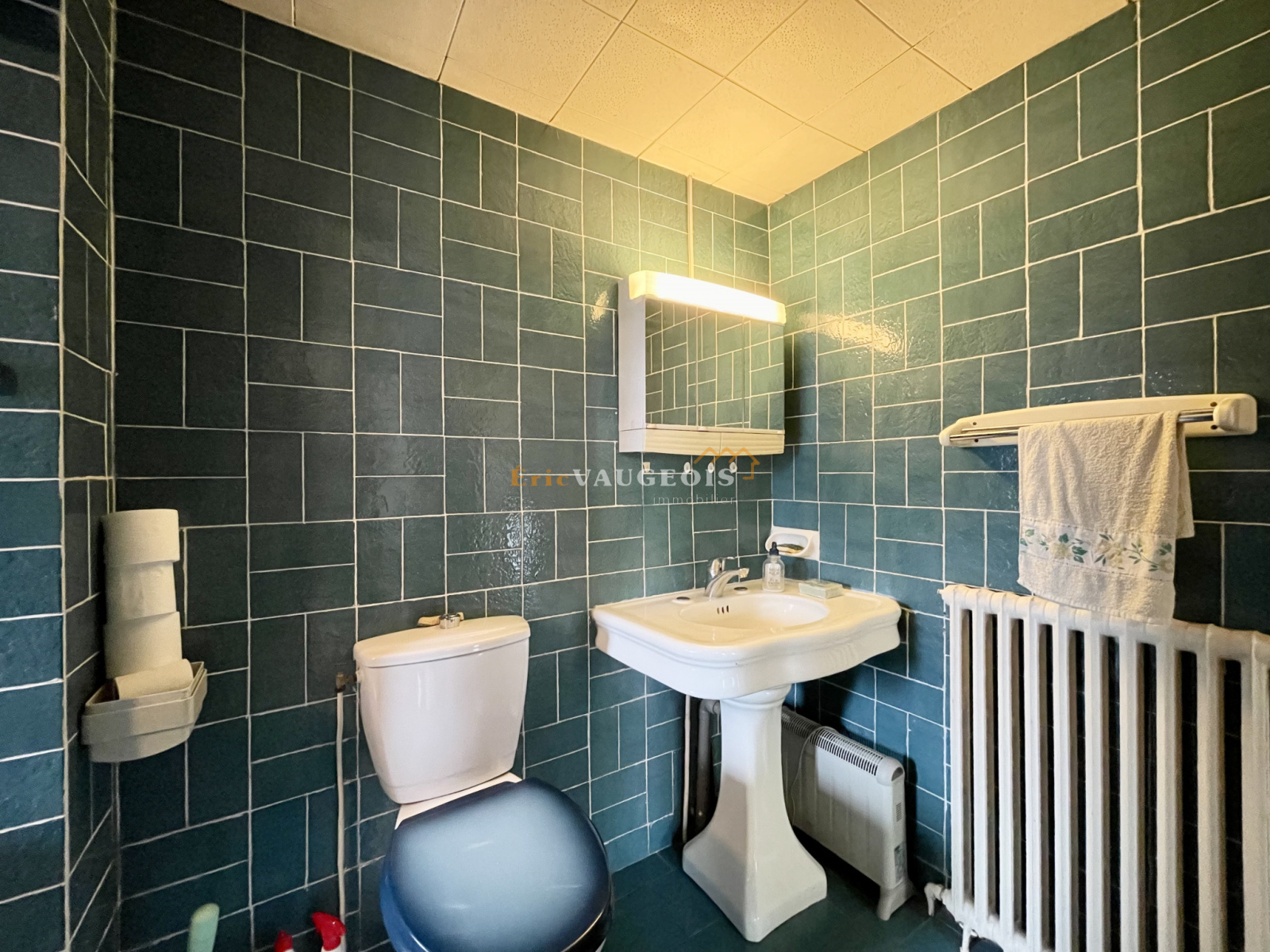 Image_10, Maison, Thorigny-sur-Marne, ref :1179