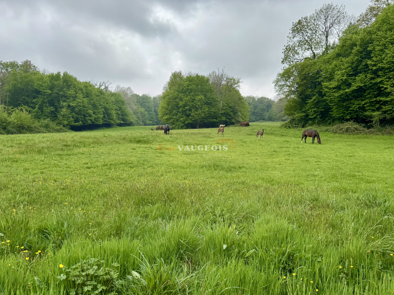 Image_23, Maison, Coulommiers, ref :1451