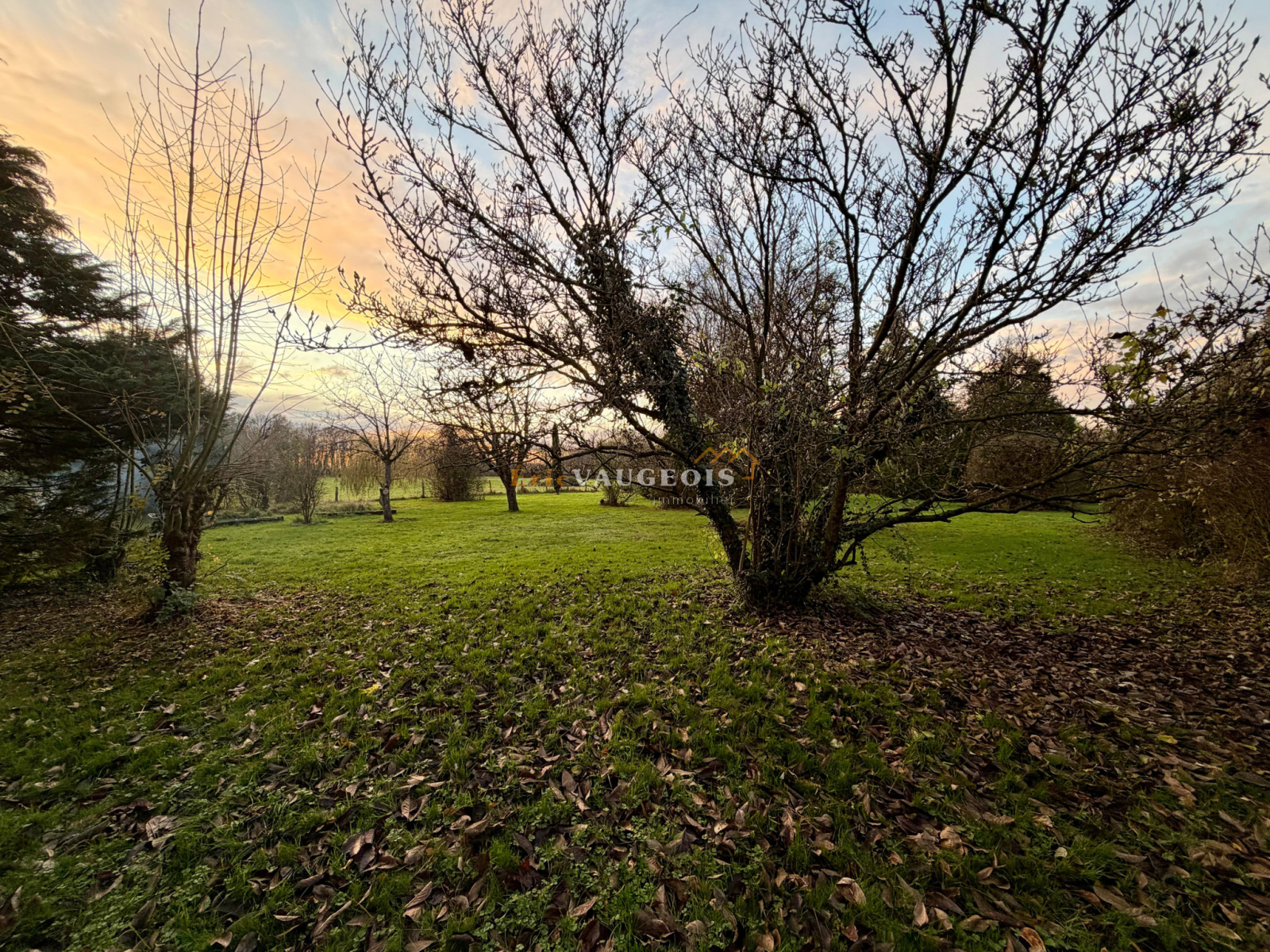 Image_35, Maison, La Ferté-sous-Jouarre, ref :1566