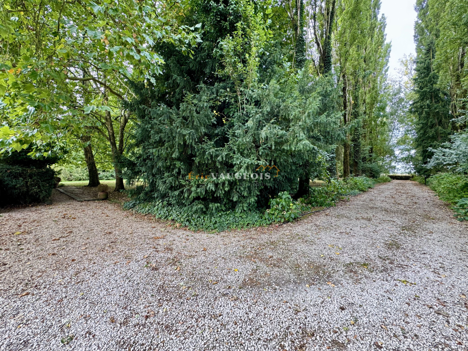 Image_52, Maison, La Ferté-sous-Jouarre, ref :1509