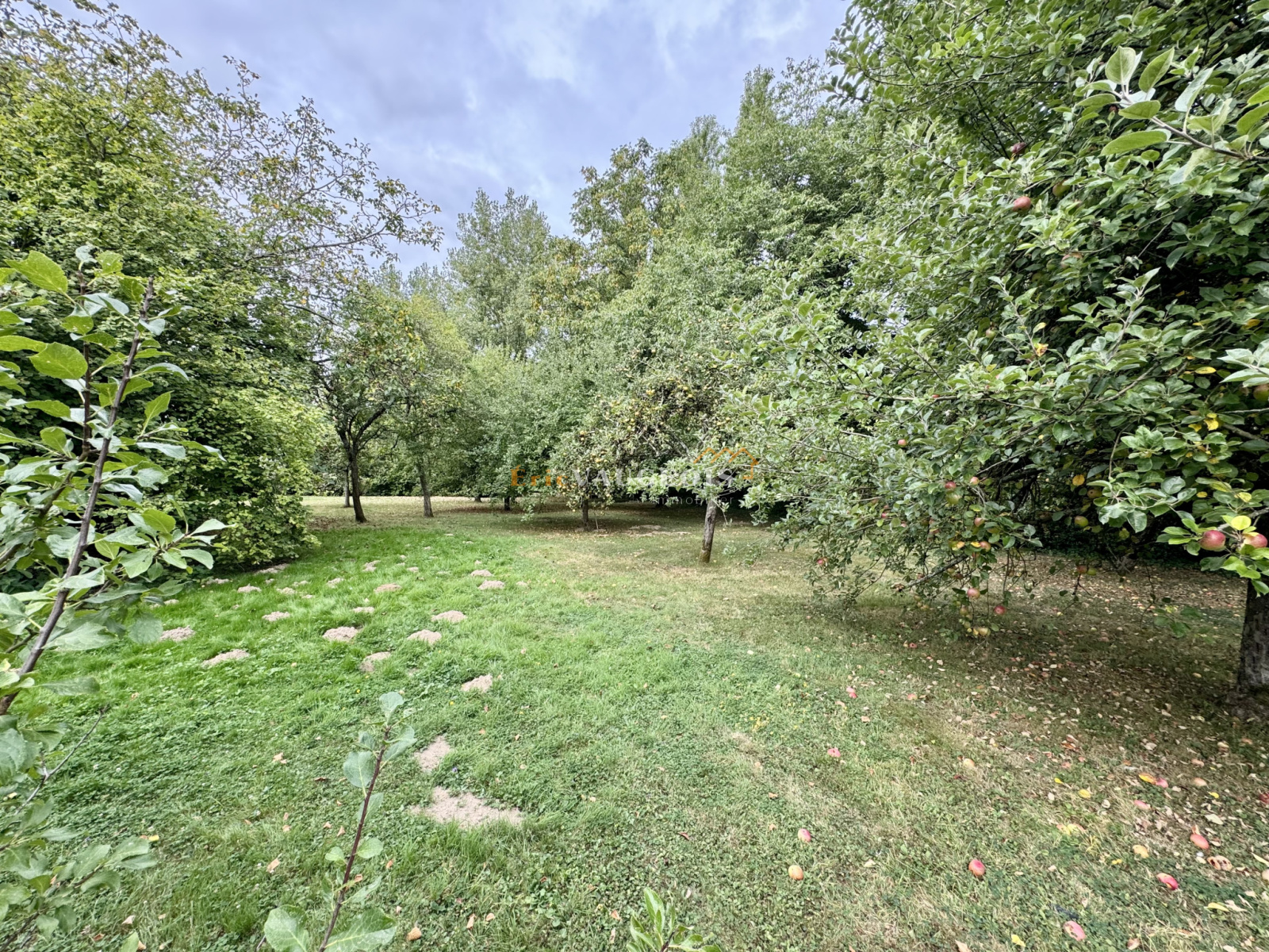 Image_57, Maison, La Ferté-sous-Jouarre, ref :1509