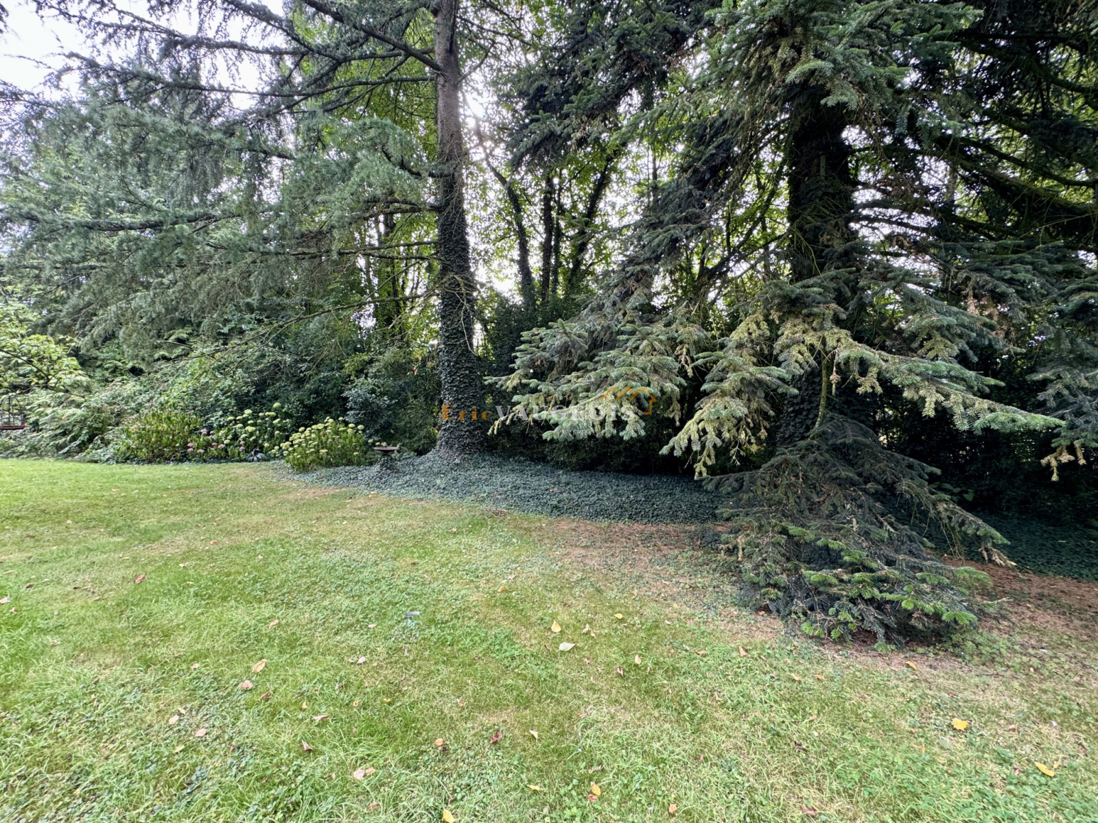 Image_48, Maison, La Ferté-sous-Jouarre, ref :1509