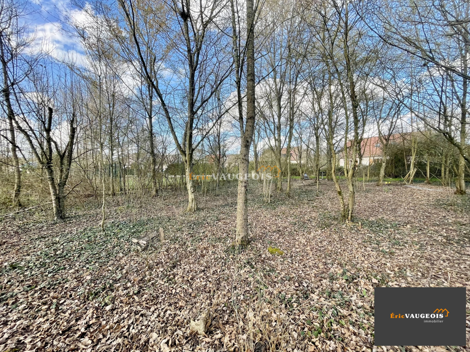 Image_8, Maison, Coulommiers, ref :1077