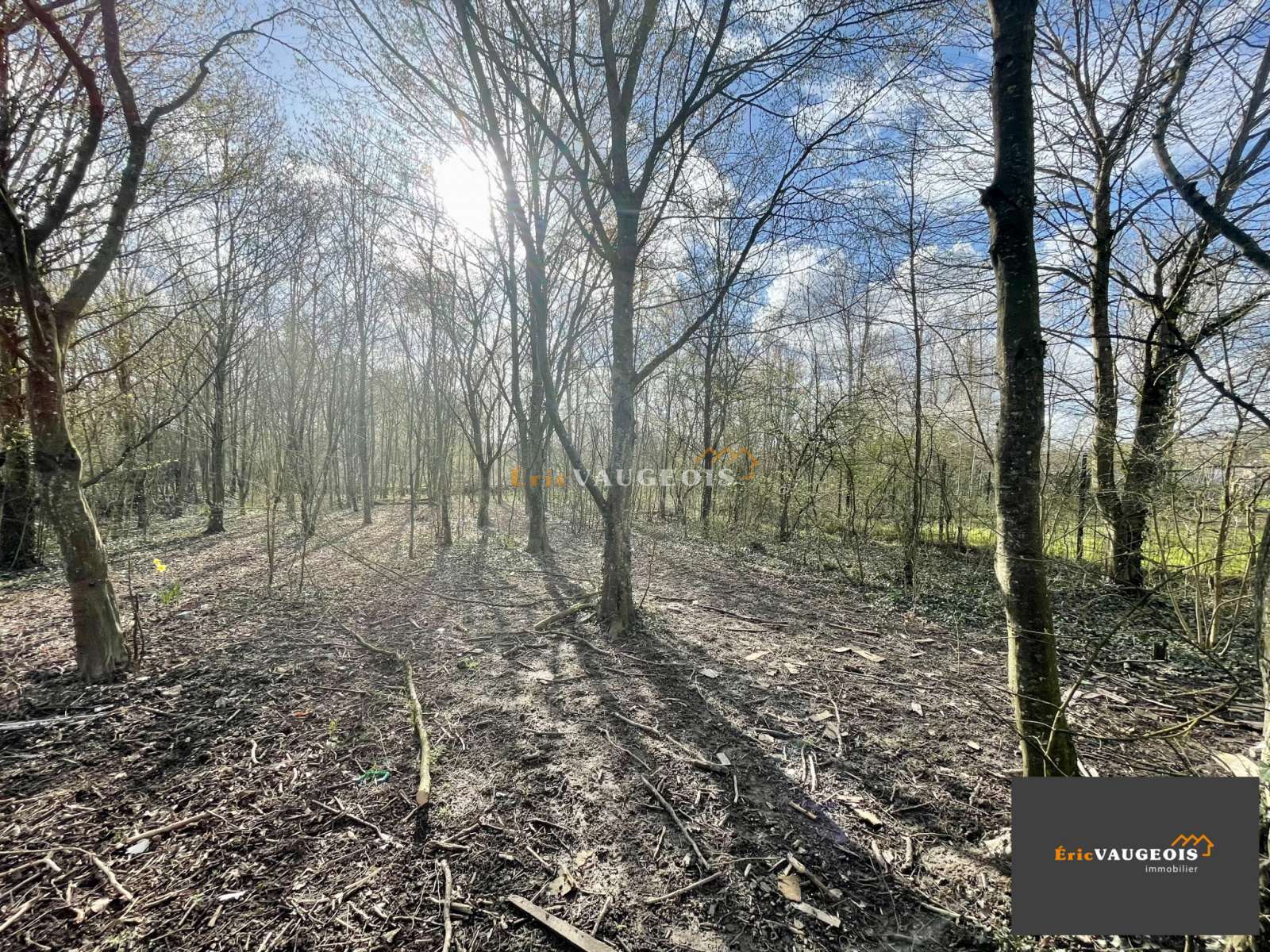 Image_22, Maison, Coulommiers, ref :1077