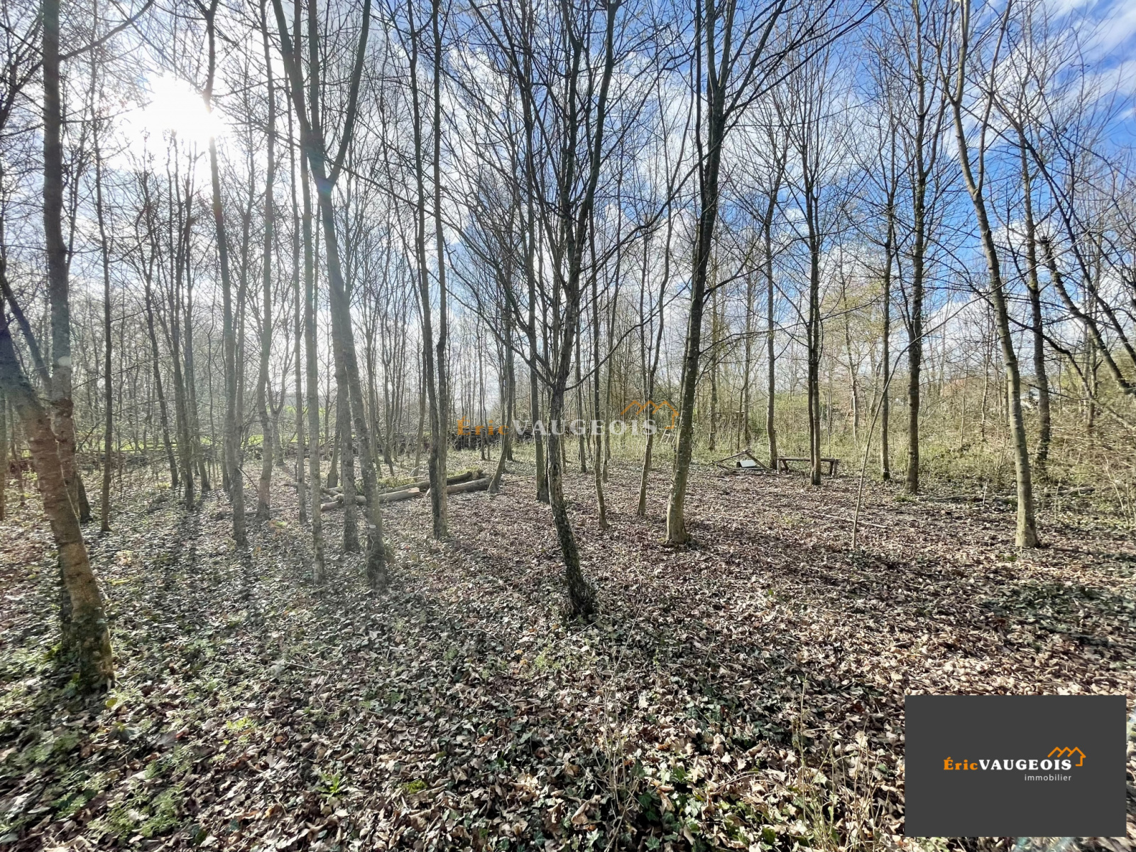 Image_9, Maison, Coulommiers, ref :1077