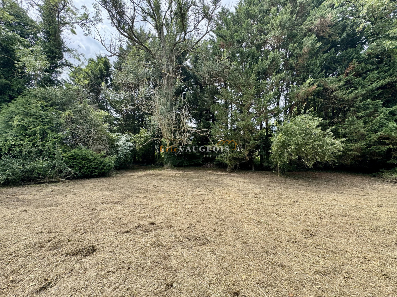 Image_31, Maison, Coulommiers, ref :1475