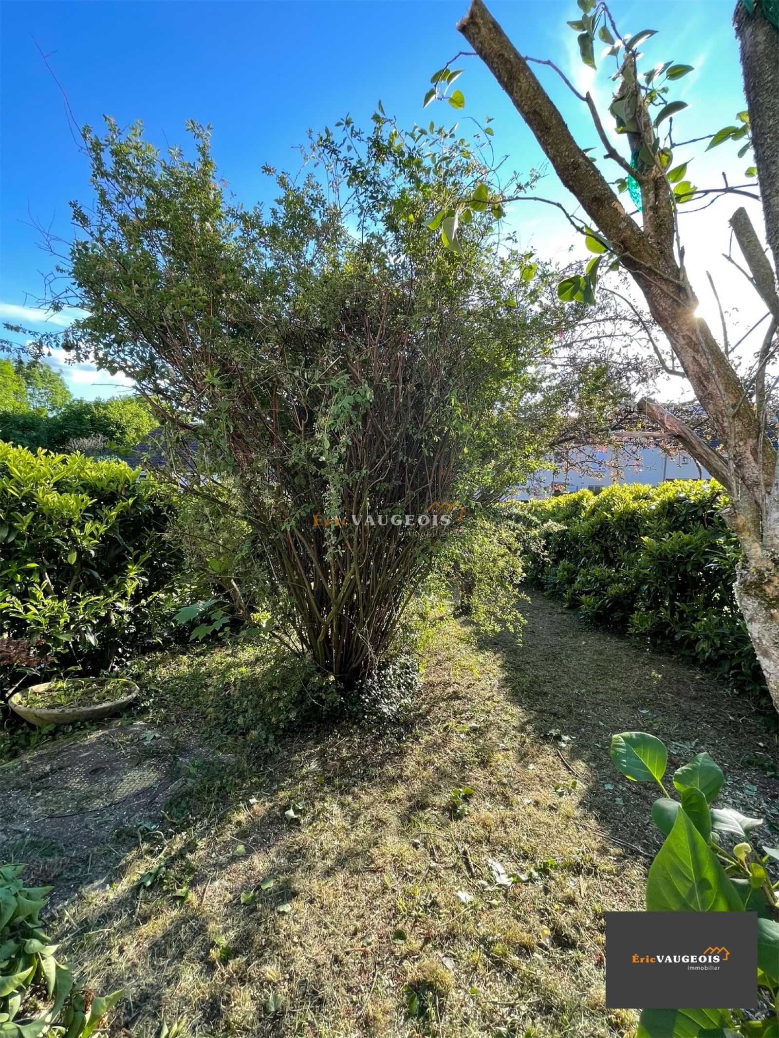 Image_2, Maison, Coulommiers, ref :865